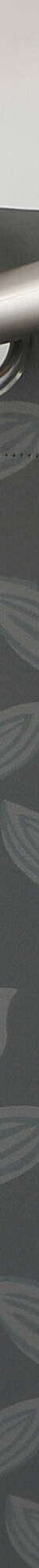 Rideau occultant imprimé feuillage bicolore (gris) Rideau occultant imprimé feuillage bicolore (gris)